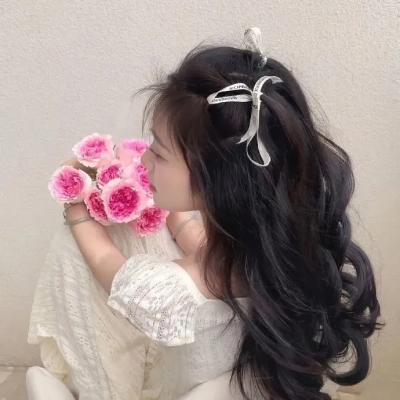 权力背后
